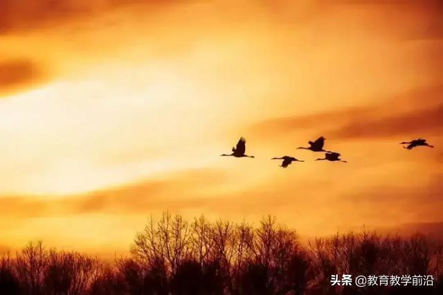 野望翻译_野望翻译及主旨