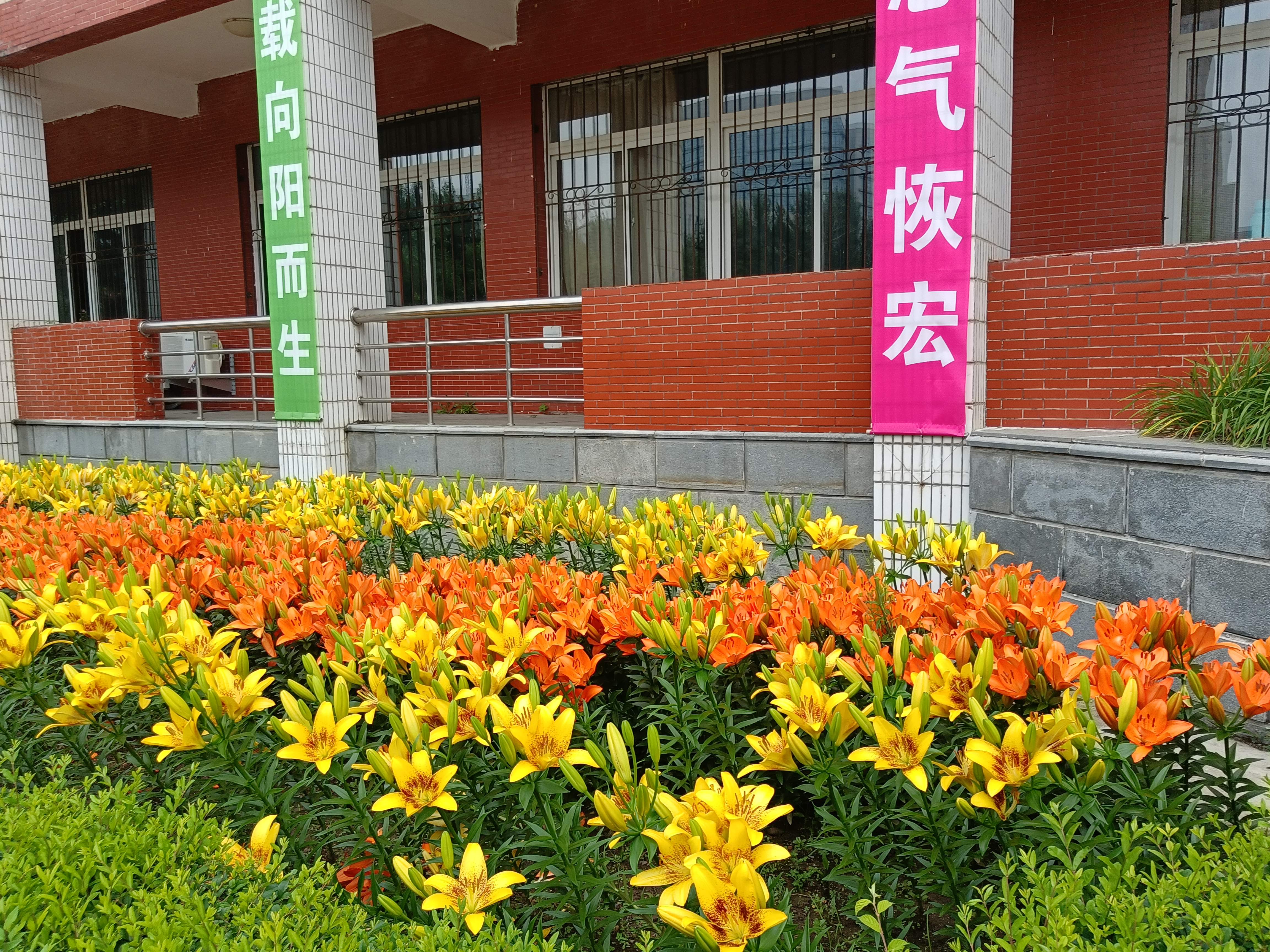 路漫漫其修远兮吾将上下而求索
