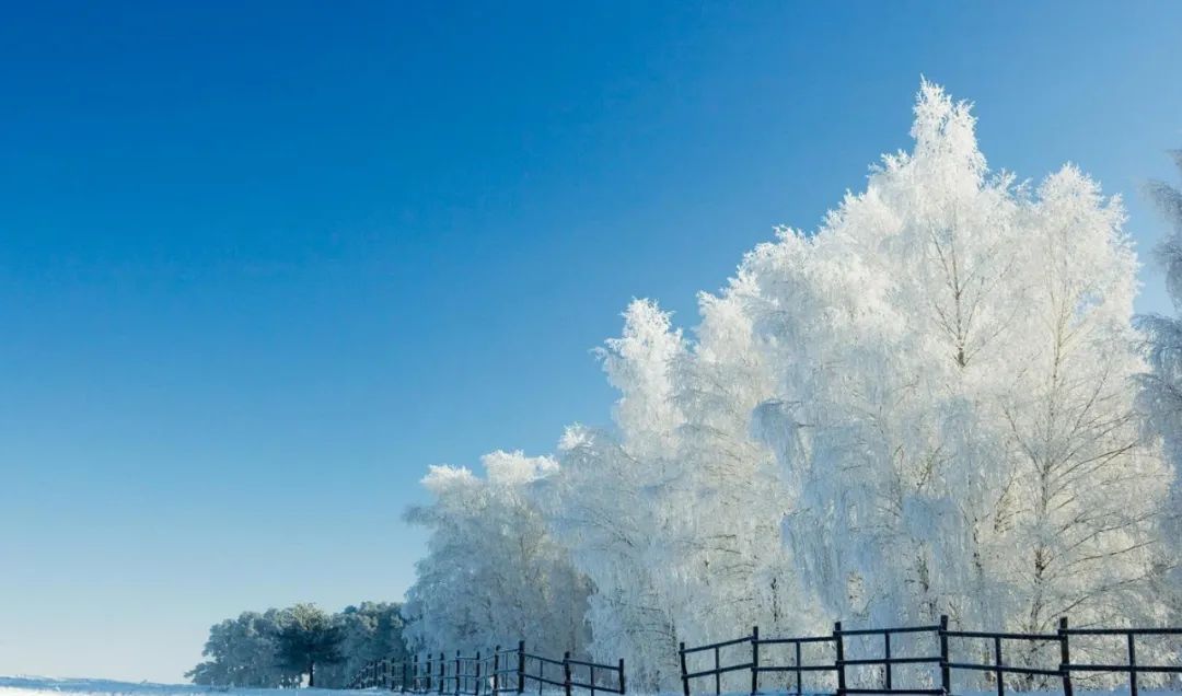 描写雪的诗句100首_描写雪的诗句短句