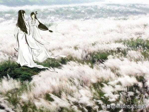 白露经典古诗（白露诗词）