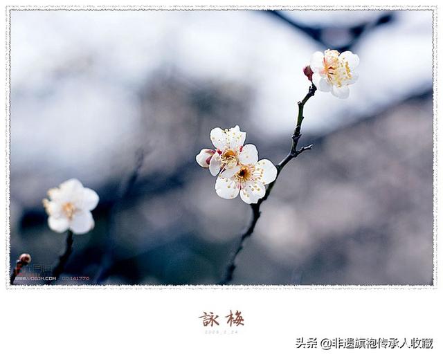 古诗梅花_古诗梅花的意思全解