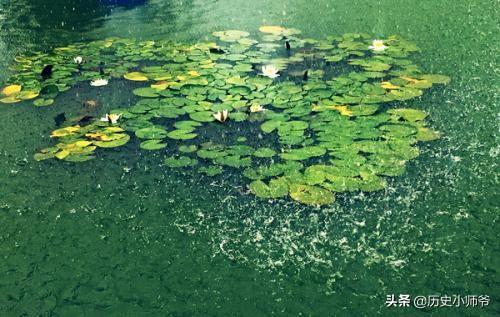 黄梅时节家家雨 青草池塘处处蛙