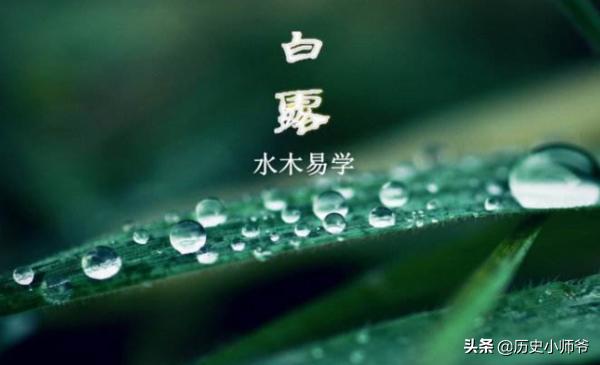 露从今夜白月是故乡明是什么节气