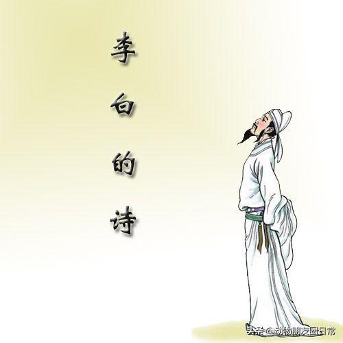 山随平野尽江入大荒流意思_山随平野尽江入大荒流打一动物