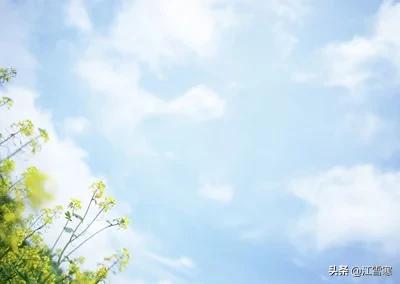 有关于春天的诗_有关于春天的诗句古诗