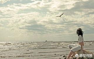 爱情的诗句浪漫(爱情诗句浪漫暖心不分离)