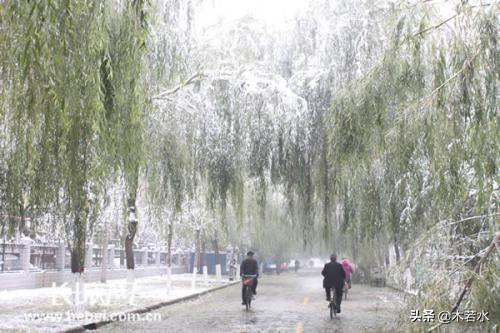 自创诗歌怎么写（自创诗歌怎么写 初一）