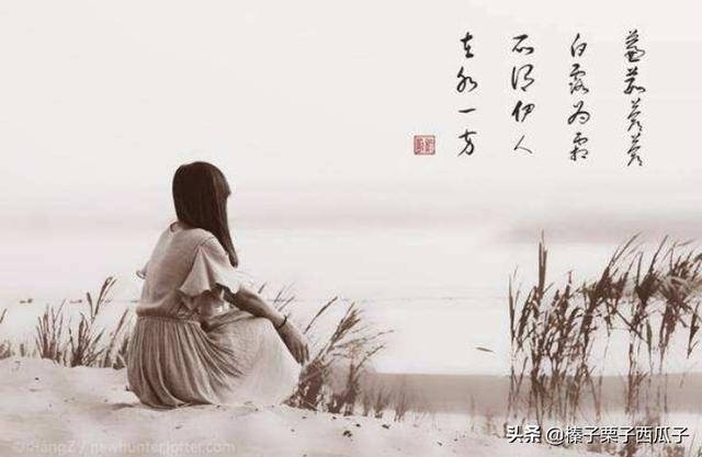 蒹葭_蒹葭拼音版
