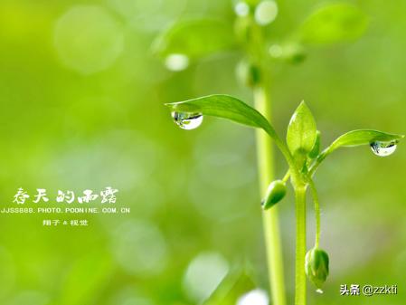 关于描写春天的诗_关于描写春天的诗句有什么