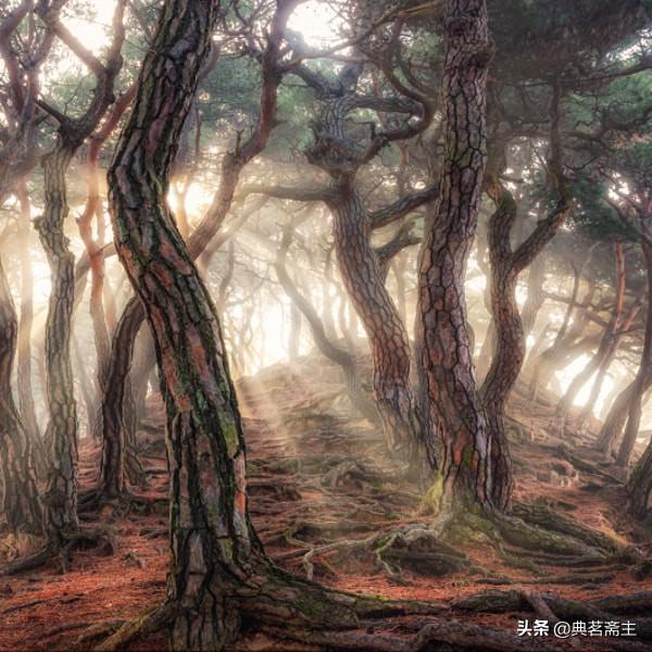 诗歌鉴赏方法归纳（诗歌鉴赏方法归纳总结）