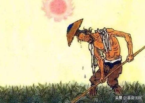 悯农的古诗其一（悯农的古诗其一内容和图画）