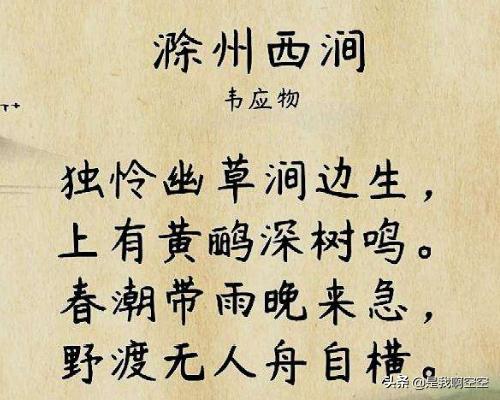 滁州西涧古诗_滁州西涧古诗原文及翻译
