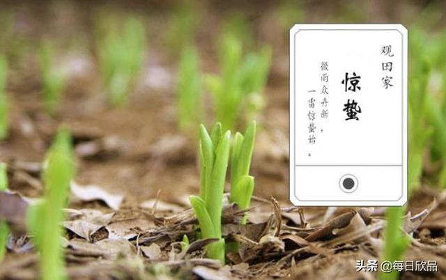 惊蛰诗句_惊蛰诗句古诗词