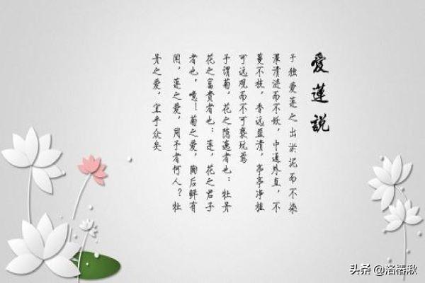爱莲说原文及翻译_爱莲说翻译