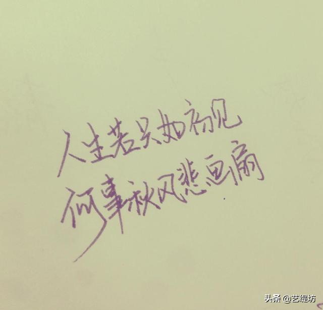 人生若只如初见_人生若只如初见电视剧