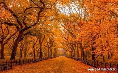 赞美秋天的诗词佳句_赞美秋天的诗词佳句三年级上册