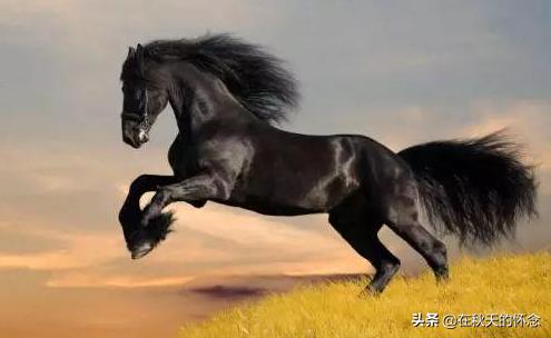 马说原文及翻译_马说原文及翻译一句一译