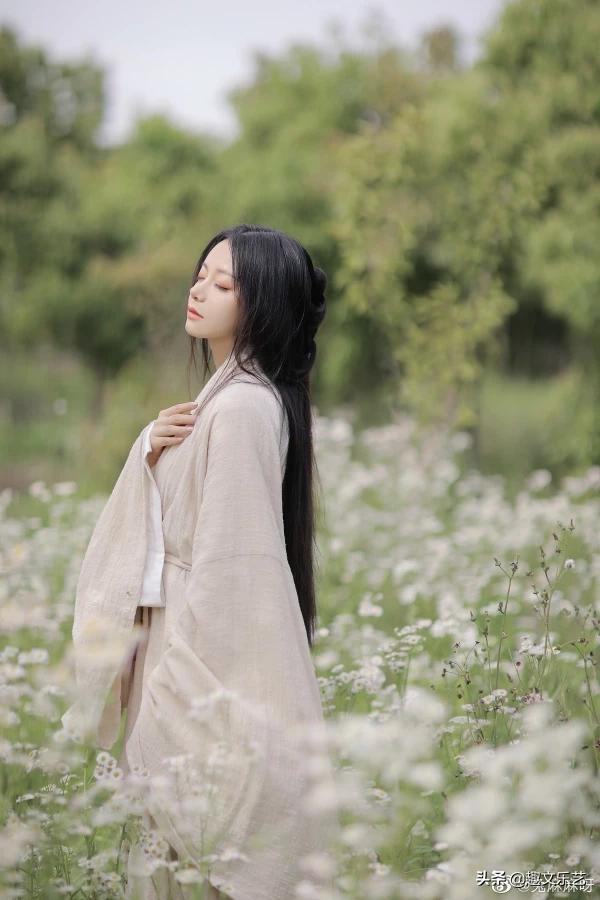 赞美桃花的古诗（赞美桃花的诗有哪些）