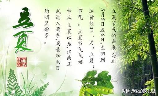 描写立夏的诗句古诗词_描写立夏的诗有哪些