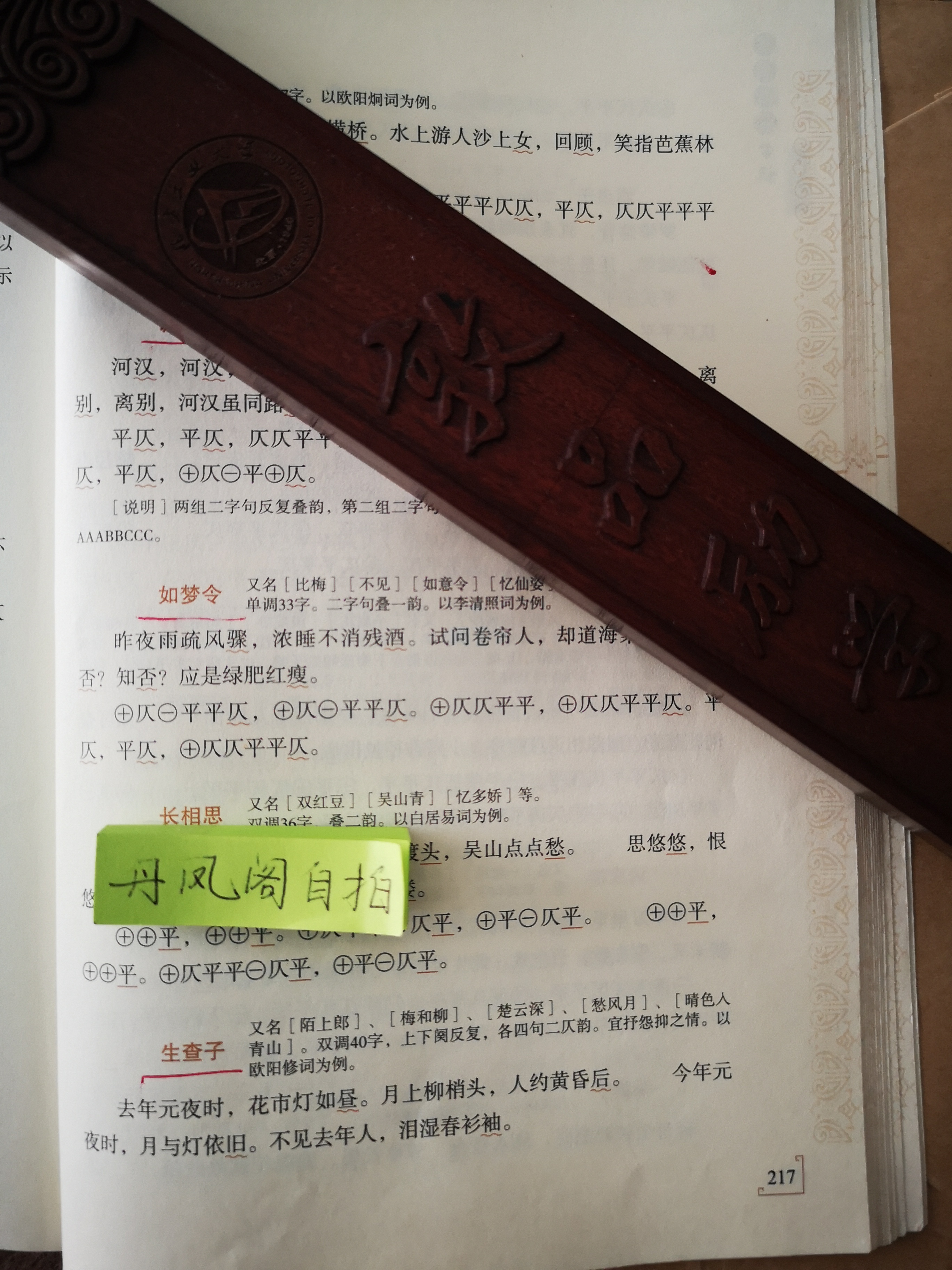 李清照如梦令_李清照如梦令有几首