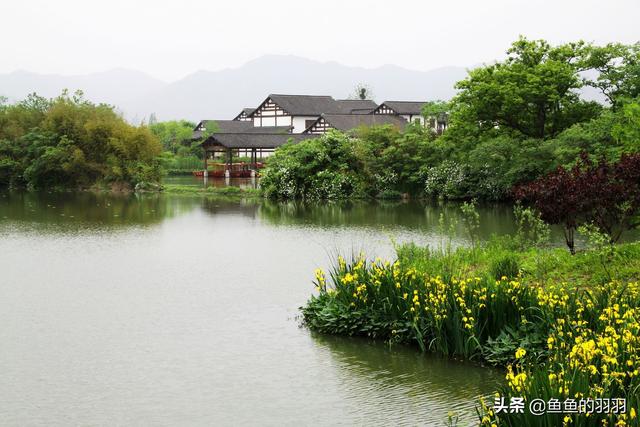 山衔落日浸寒漪是什么意思_山衔落日浸寒漪有什么作用
