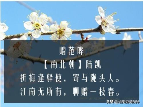 赠范晔古诗带拼音（赠范晔古诗带拼音图片清晰）