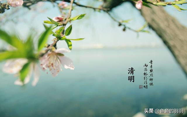 清明节手抄报内容_清明节手抄报内容100字