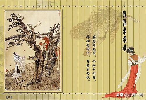 孔雀东南飞翻译全文朗读_孔雀东南飞翻译及注释