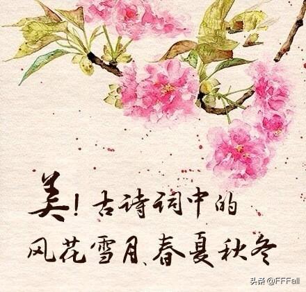 关于描写风的古诗词_关于描写风的古诗词名句