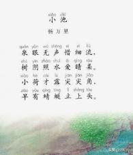 小池杨万里的诗句意思_小池杨万里的解释