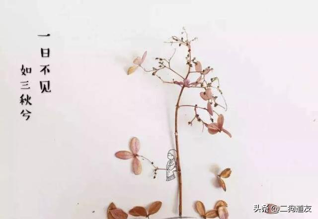 《诗经》中的爱情诗_《诗经》中的爱情诗作文