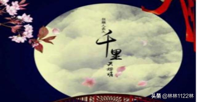 千里共婵娟指的是什么