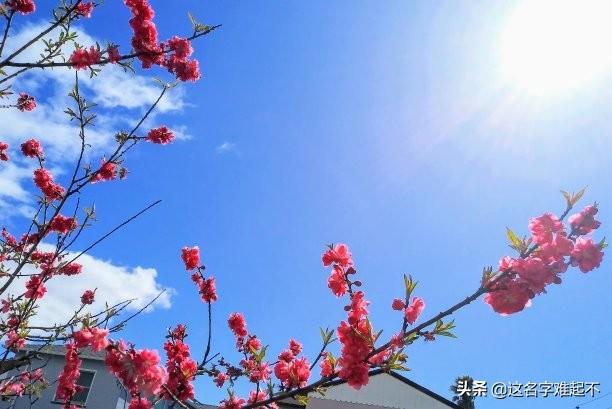 梅花香自苦寒来这首诗的全文