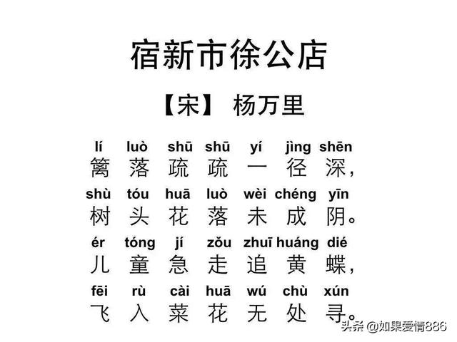 飞入菜花无处寻的这首诗(飞入菜花无处寻这首诗是什么季节)