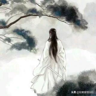 关于秋风的诗句古诗（搜索关于秋风的诗句）