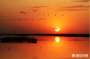 使至塞上唐王维翻译(《使至塞上》 翻译)