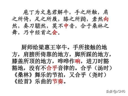 庖丁解牛一句一翻译（《庖丁解牛》的翻译）