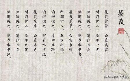 蒹葭原文拼音版注音(蒹葭原文 拼音版)