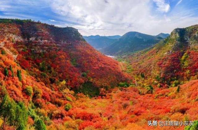 层林尽染是什么意思(层林尽染全部的意思)