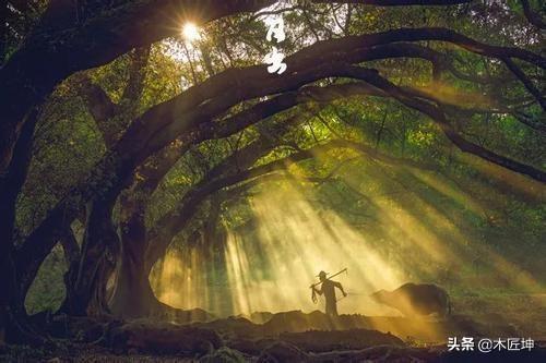 寓意美好希望的诗句_寓意美好希望的诗句取名