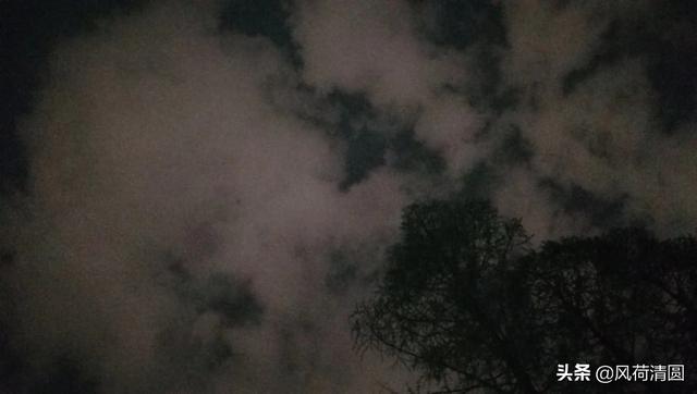 贾岛的题李凝幽居（贾岛的题李凝幽居的意思）