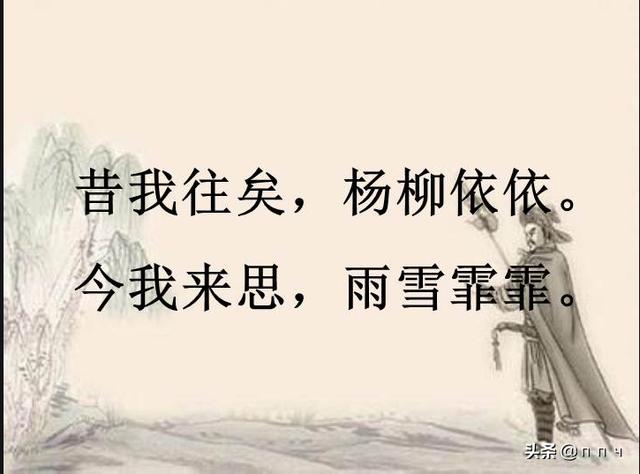 诗经采薇节选的意思（诗经采薇节选意思翻译）