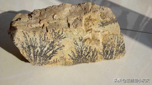 千锤万凿出深山下一句（千锤万凿出深山的下一句是什么意思）