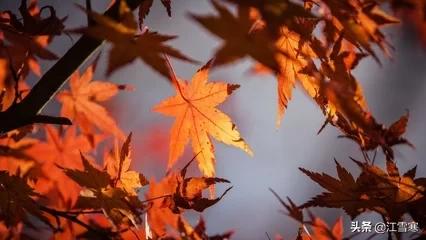 下雨的古诗(描写下雨的古诗)