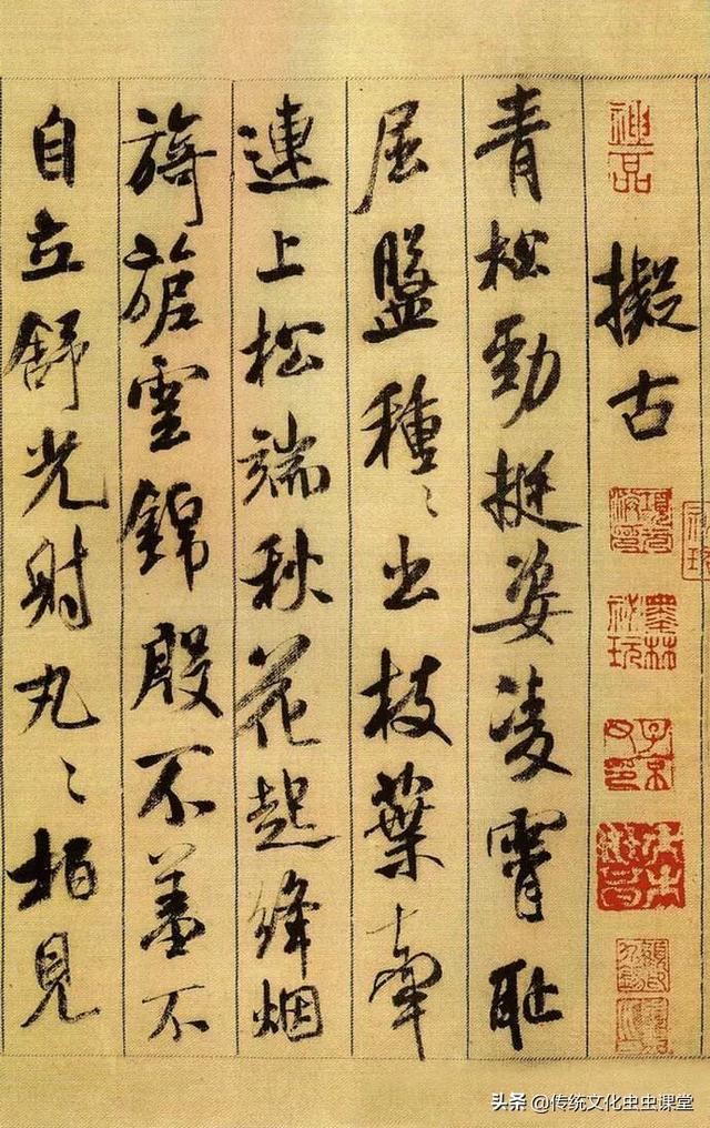 名句古诗（菊花名句古诗）（菊花名句是哪一句）