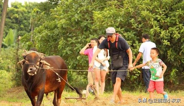 美好田园生活的诗句（形容美好田园生活的古诗词）