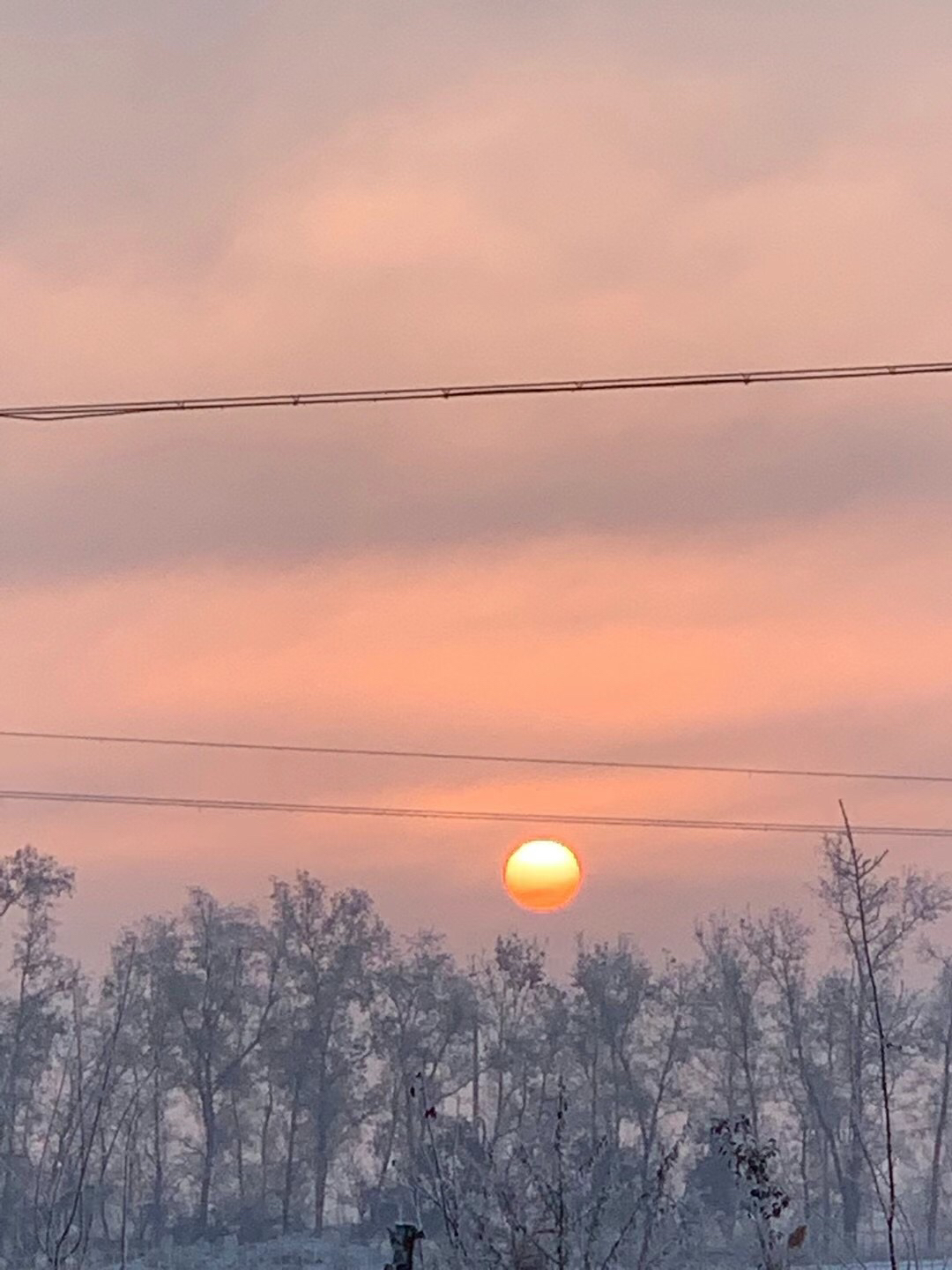 冬天的句子优美短句（冬天的句子优美短句摘抄）