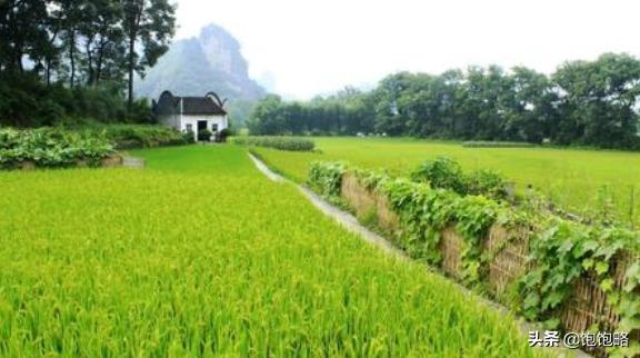 田园风光的古诗有哪些（田园风光的古诗大全）