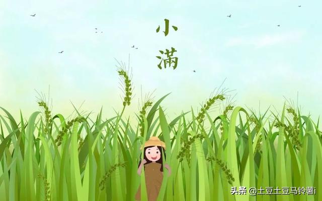 小满古诗（小满古诗原文）