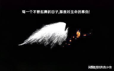 名人名句摘抄大全励志（名人名言佳句精选励志）